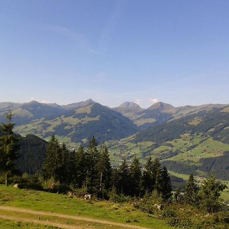 Hotel Alpenhof Kirchberg in Tirol Exteriér fotografie